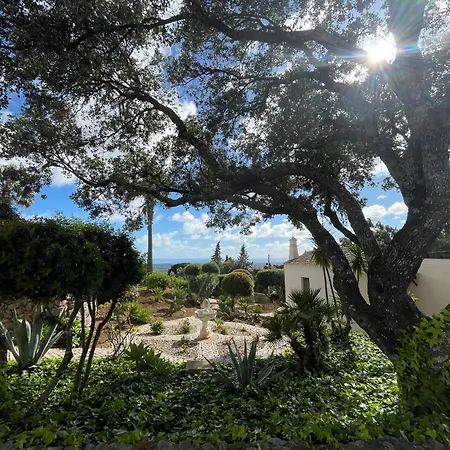 Monte Borboleta - Villas, *