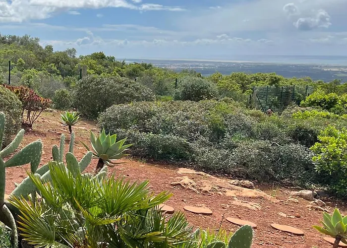 Monte Borboleta - Villas, * Faro