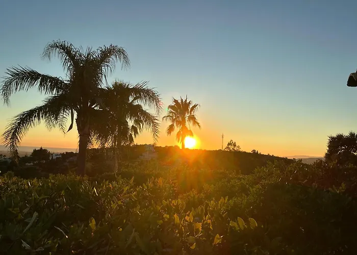 Monte Borboleta - Villas, Villa Faro